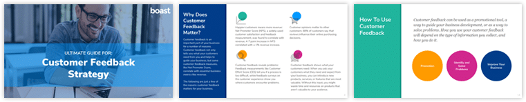 Customer Feedback Strategy Guide